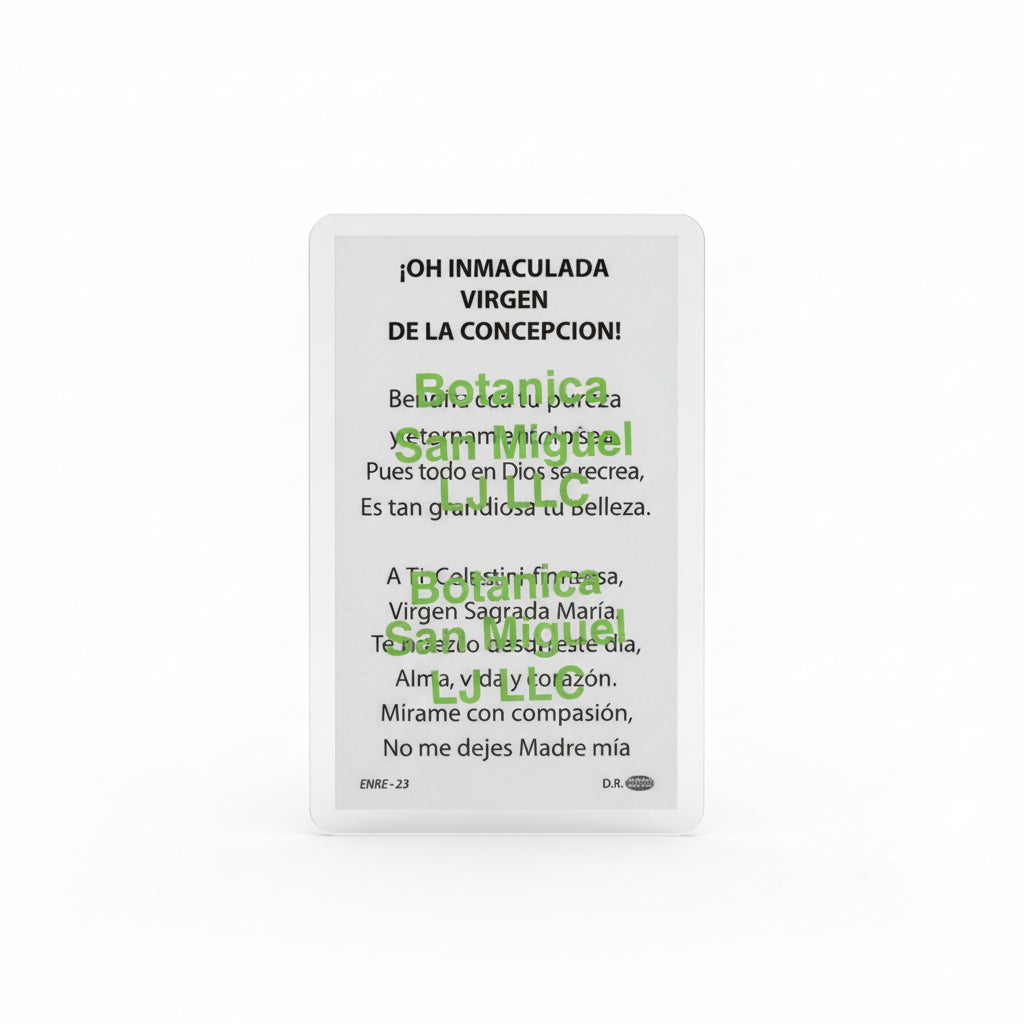 Inmaculada Virgen De La Concepción Tarjeta De Oración