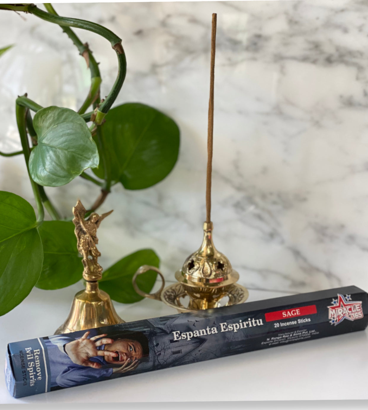 Remove Evil Spirits Incense Sticks