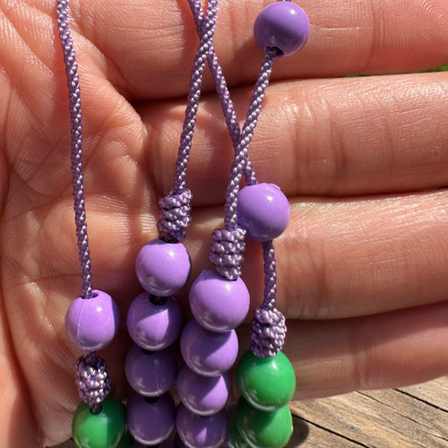 Santa Martha Dominadora Rosary