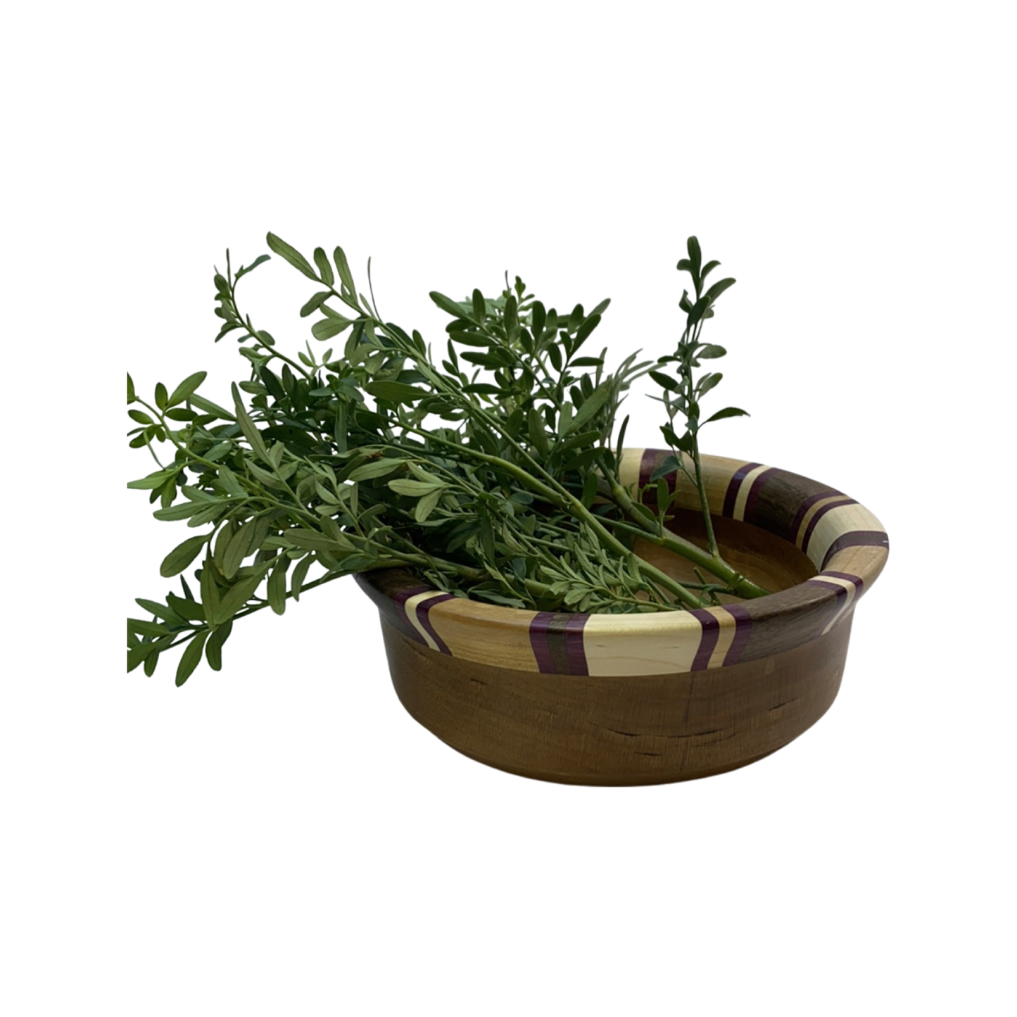 Fresh Rue Herb/Ruda Fresca