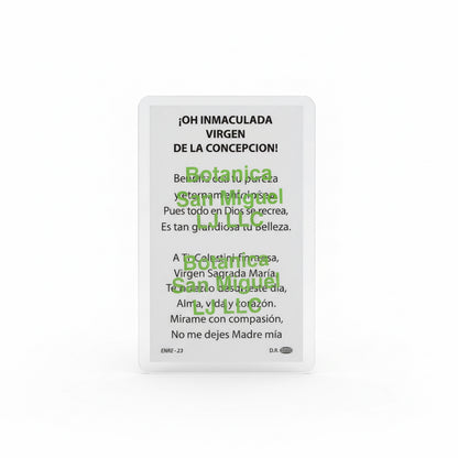 Inmaculada Virgen De La Concepción Tarjeta De Oración