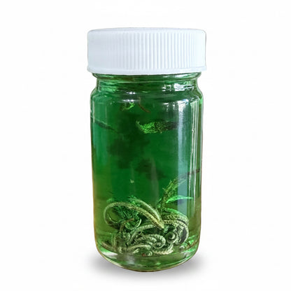 Rosa De Jerico Oil
