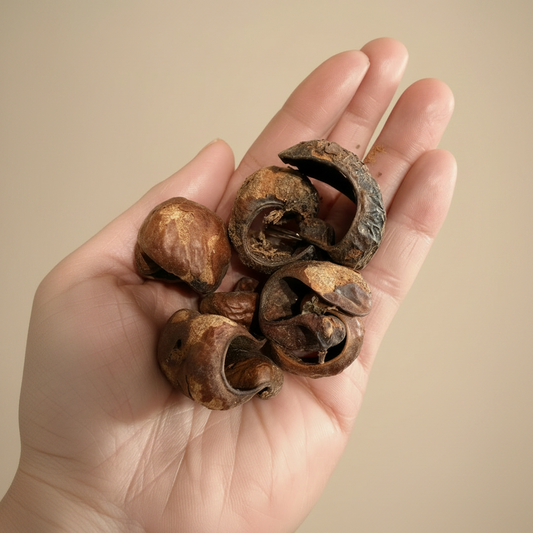 Guatapanal Herb