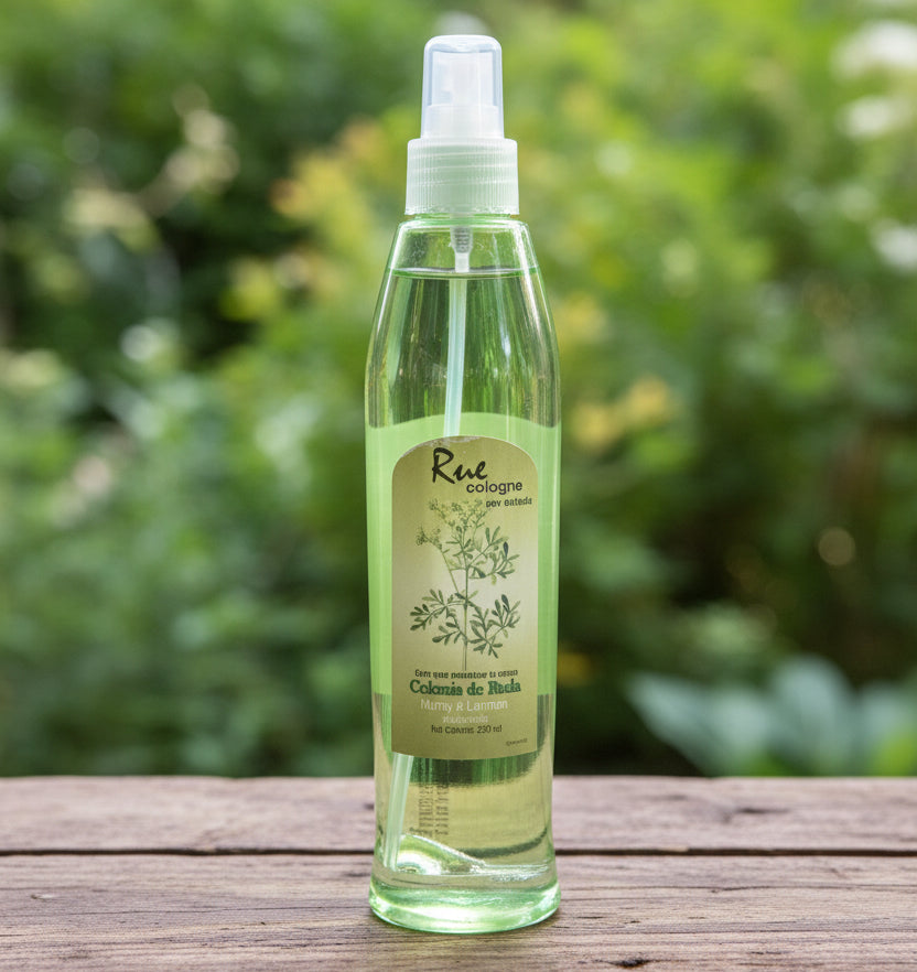 Rue Cologne | Colonia De Ruda