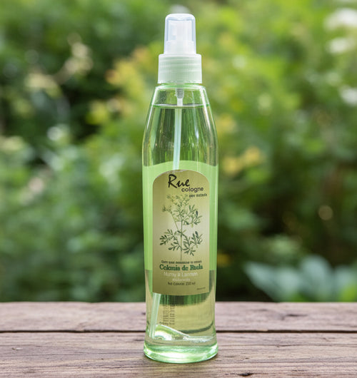 Rue Cologne | Colonia De Ruda
