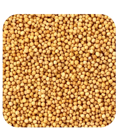 Mustard Seed