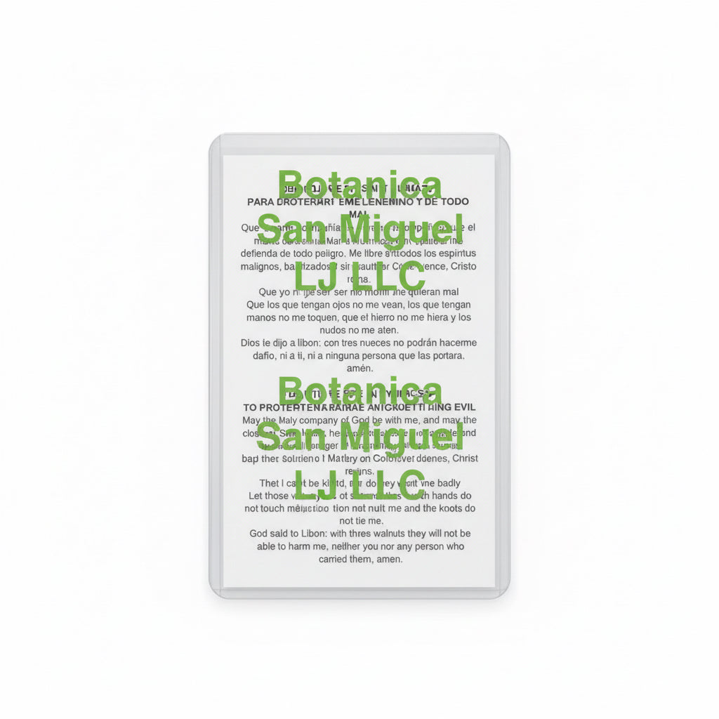 Santa Camisa Prayer Card