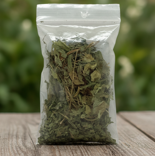Epazote Herb |Jerusalem Oak | Apasote