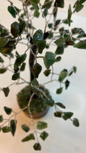 Load image into Gallery viewer, Green Aventurine Gemstone Tree 8”
