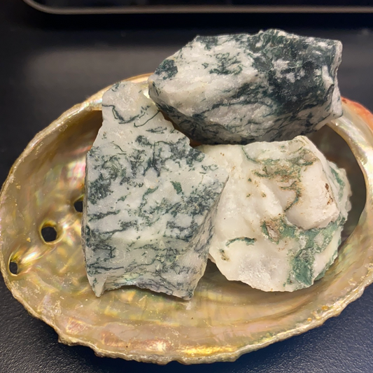 Tree Agate Rough Stone