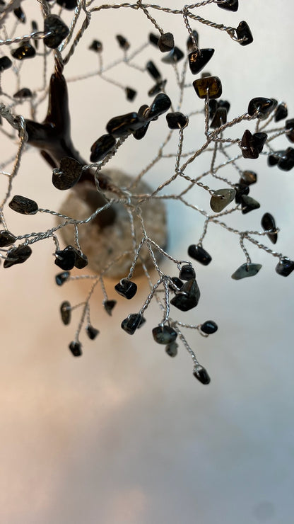 Black Tourmaline Gemstone Tree 8”